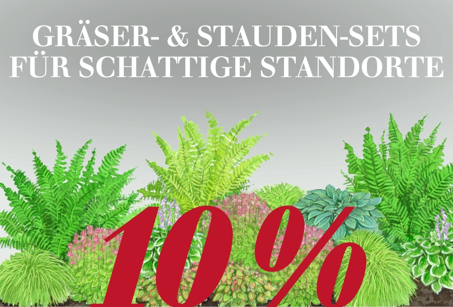 10 % auf Gräser- & Stauden-Sets für schattige Standorte