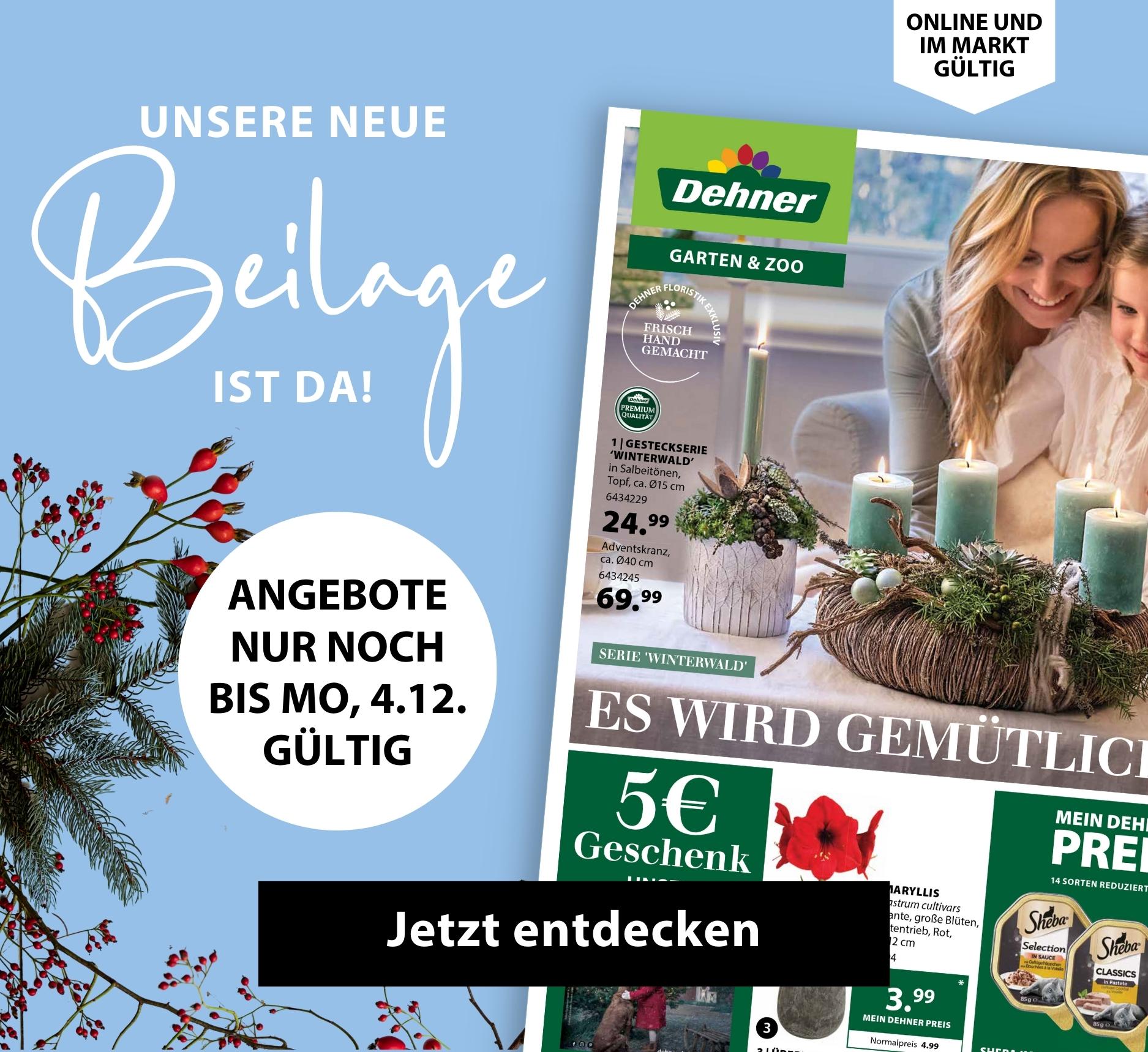 Unsere neue Beilage ist da