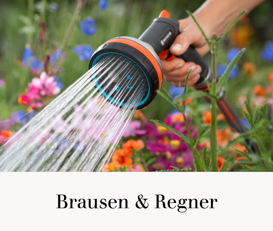 Brausen & Regner