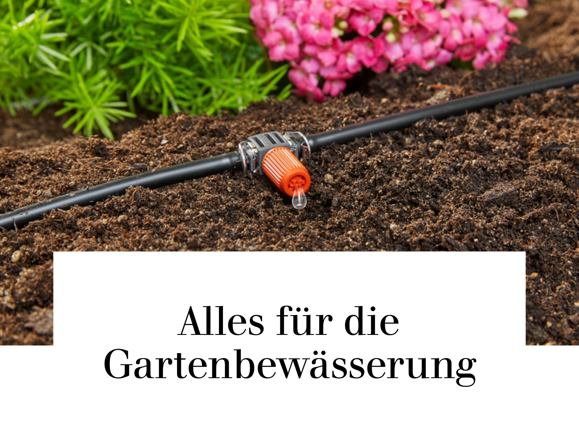 Alles für die Gartenbewässerung