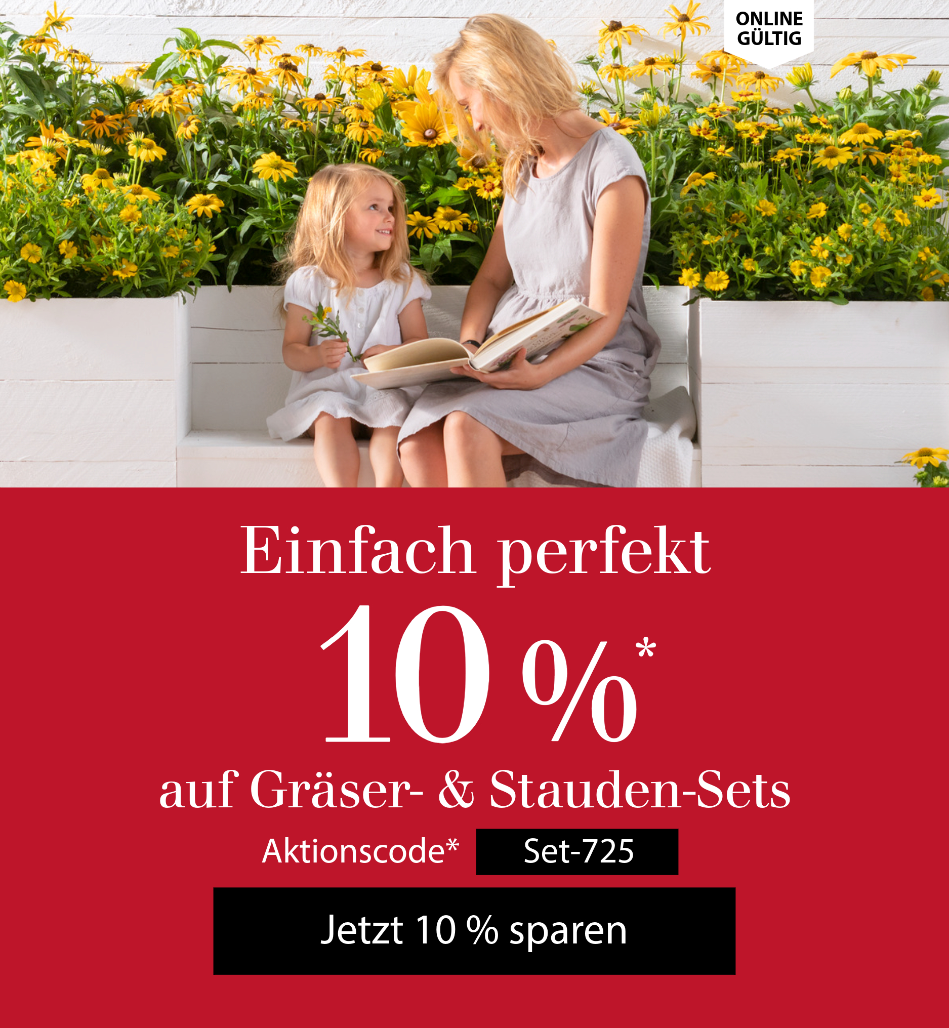 Exklusiv für Newsletter-Abonnenten: Aktion 10 % auf Gräser- & Staudensets!