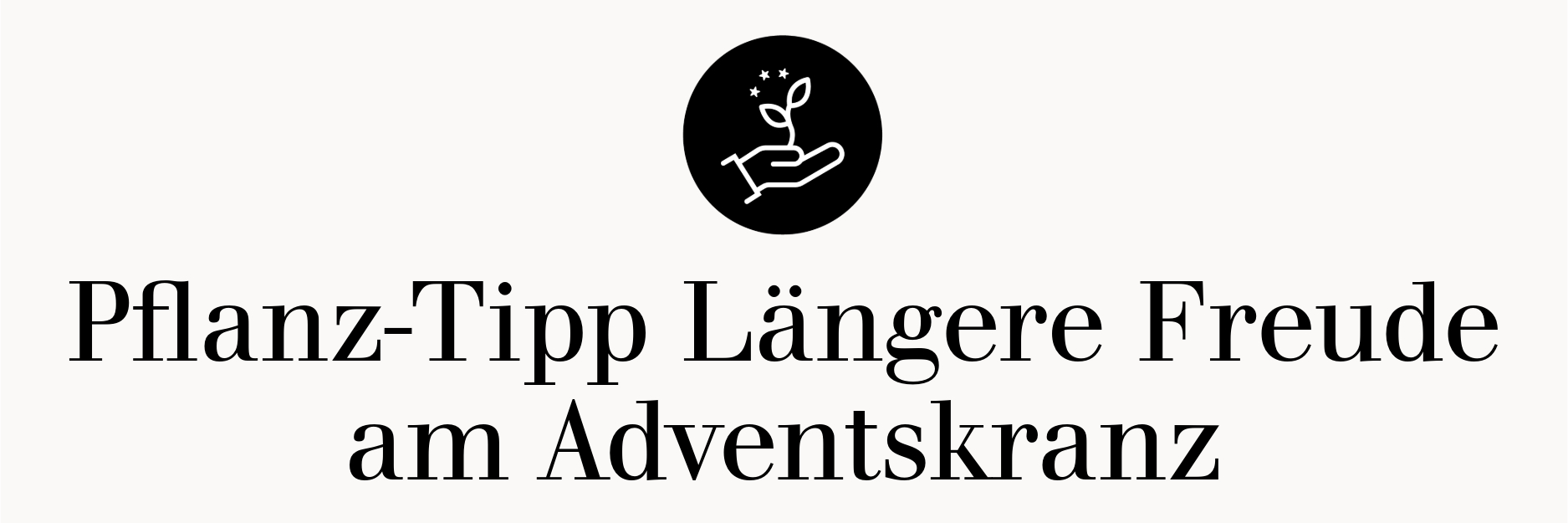 Pflanz-Tipp - Längere Freude am Adventskranz