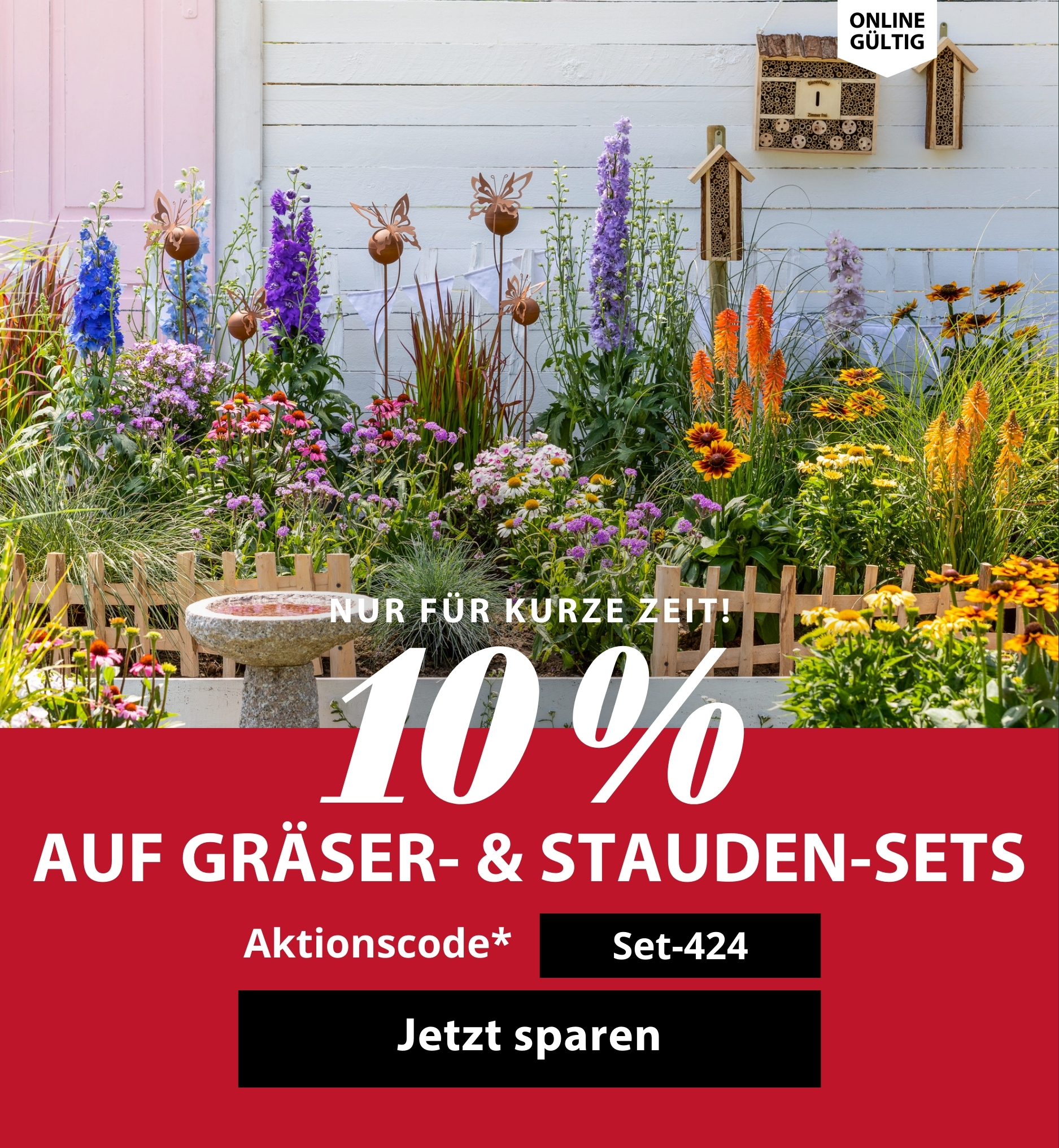 Exklusiv für Newsletter-Abonnenten: Aktion 10 % auf Gräser- & Staudensets!