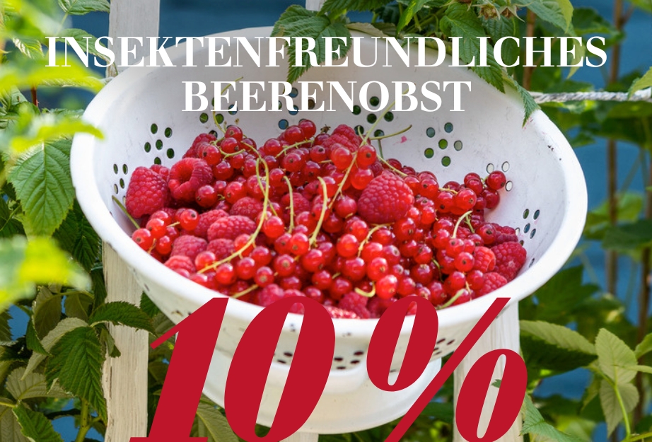 Insektenfreundliches Beerenobst