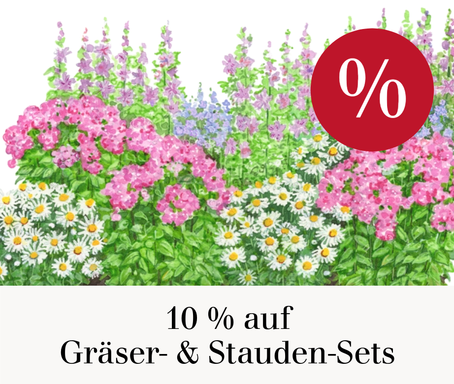 10 % auf Gräser- & Stauden-Sets
