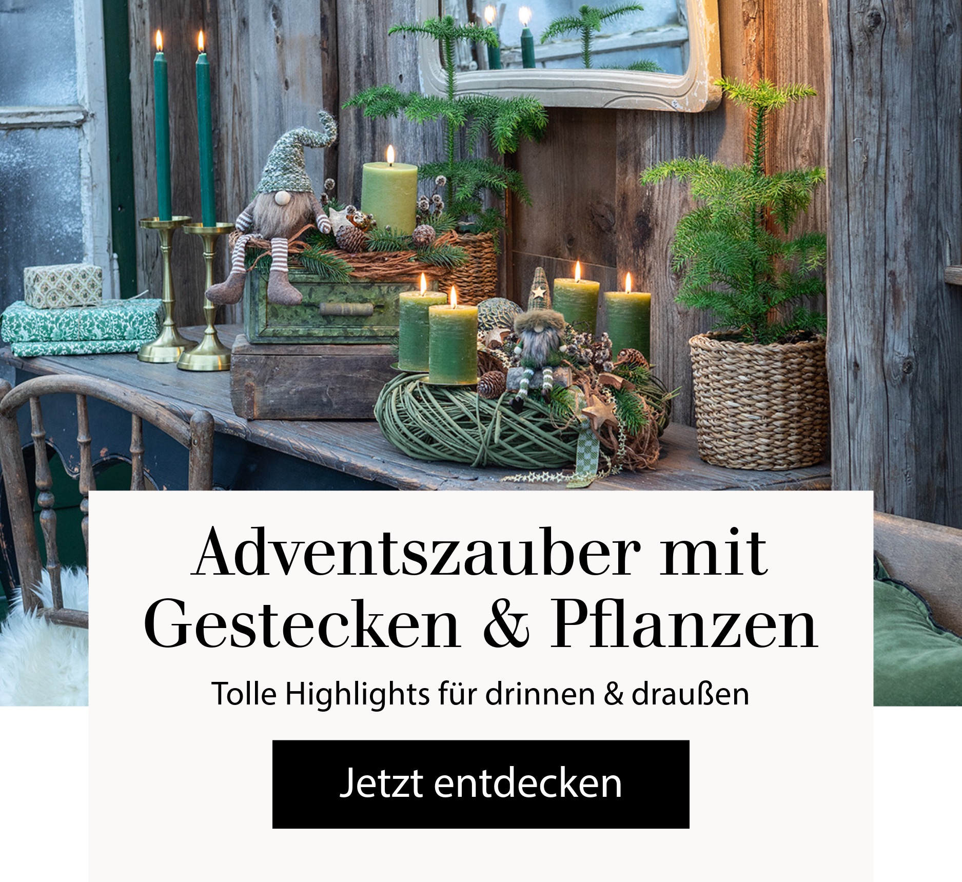 Adventszauber mit Gestecken & Pflanzen - Tolle Highlights für drinnen & draußen