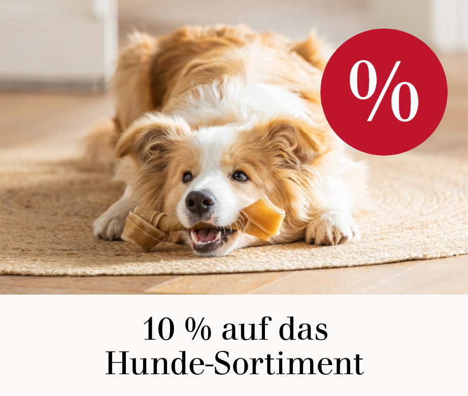10 % auf das Hunde-Sortiment