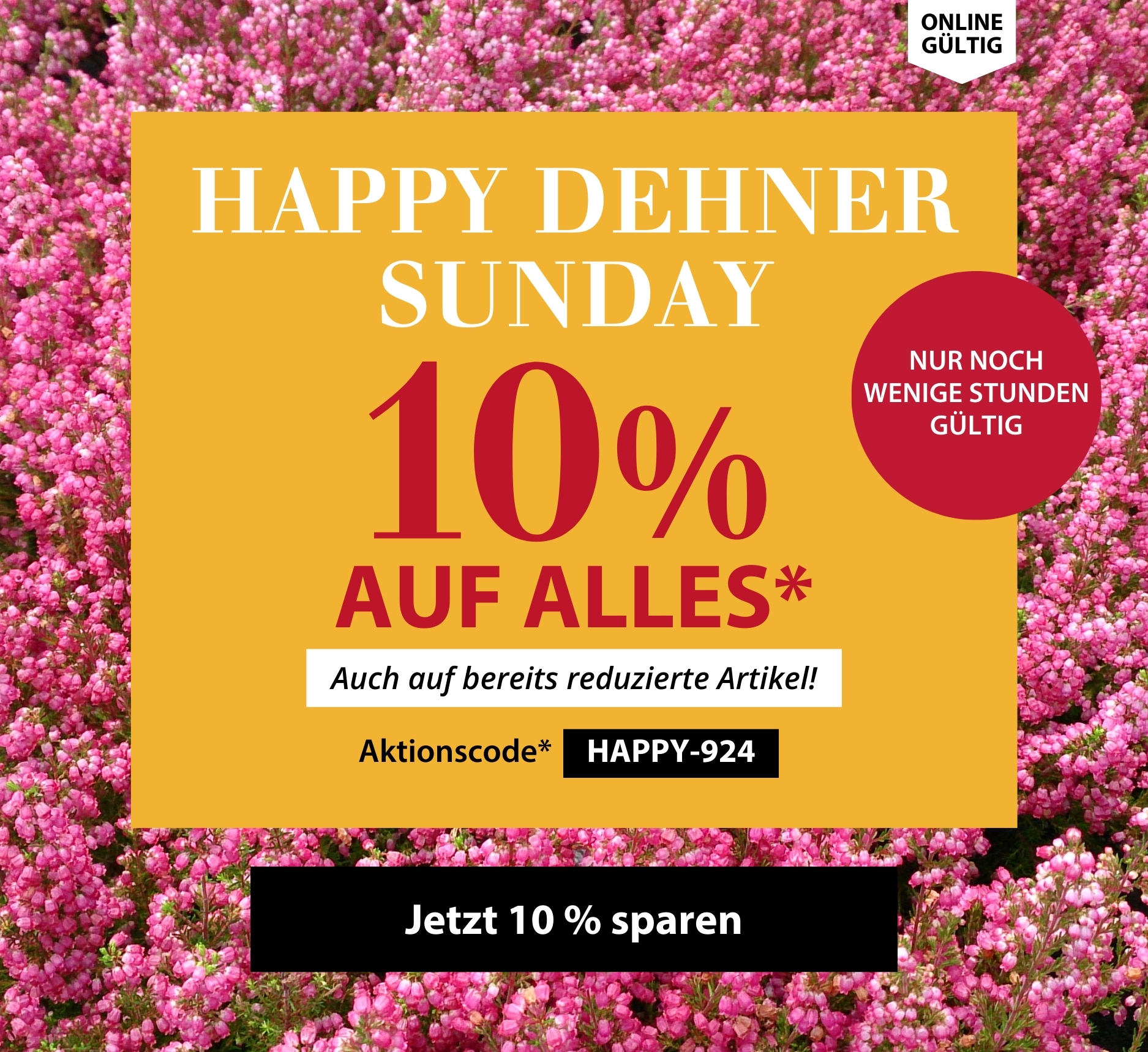 Nur noch wenige Stunden - 10 % auf ALLES - Happy Dehner Sunday
