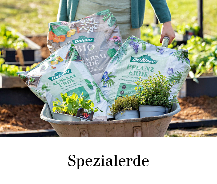 Spezialerde