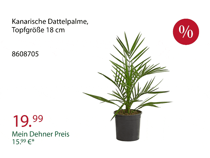 Top-Angebote aus der Werbung - Nur solange der Vorrat reicht