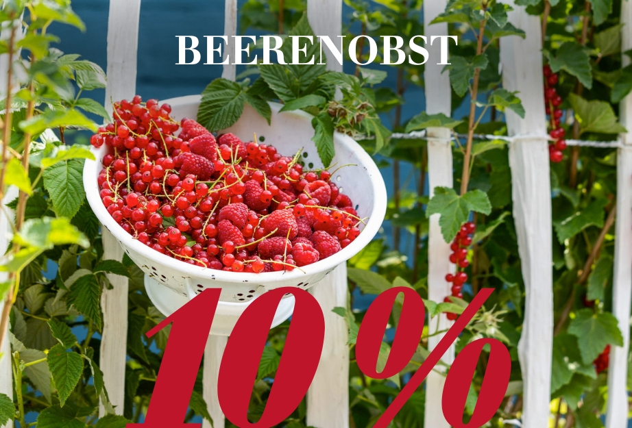 10 % auf Beerenobst