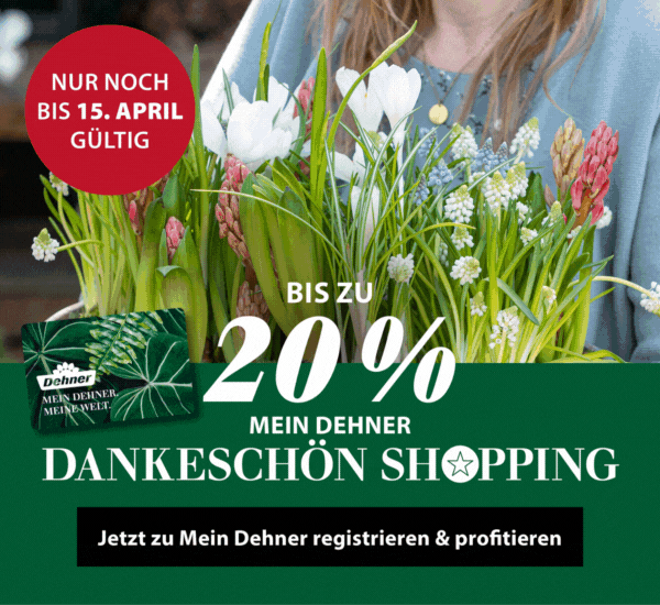 Exklusive Mein Dehner Aktion: Bis zu 20 % sparen