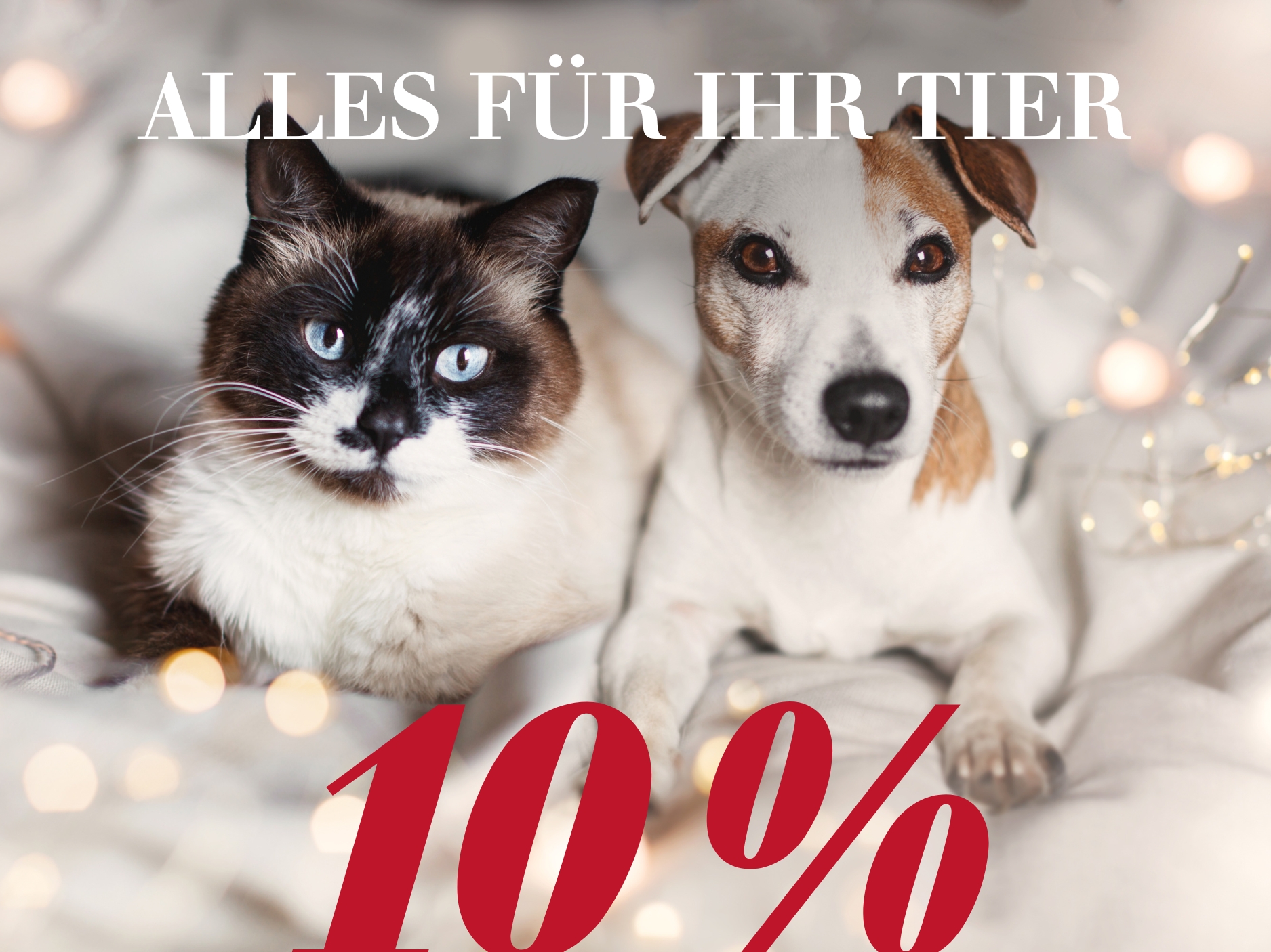 Alles für Ihr Tier