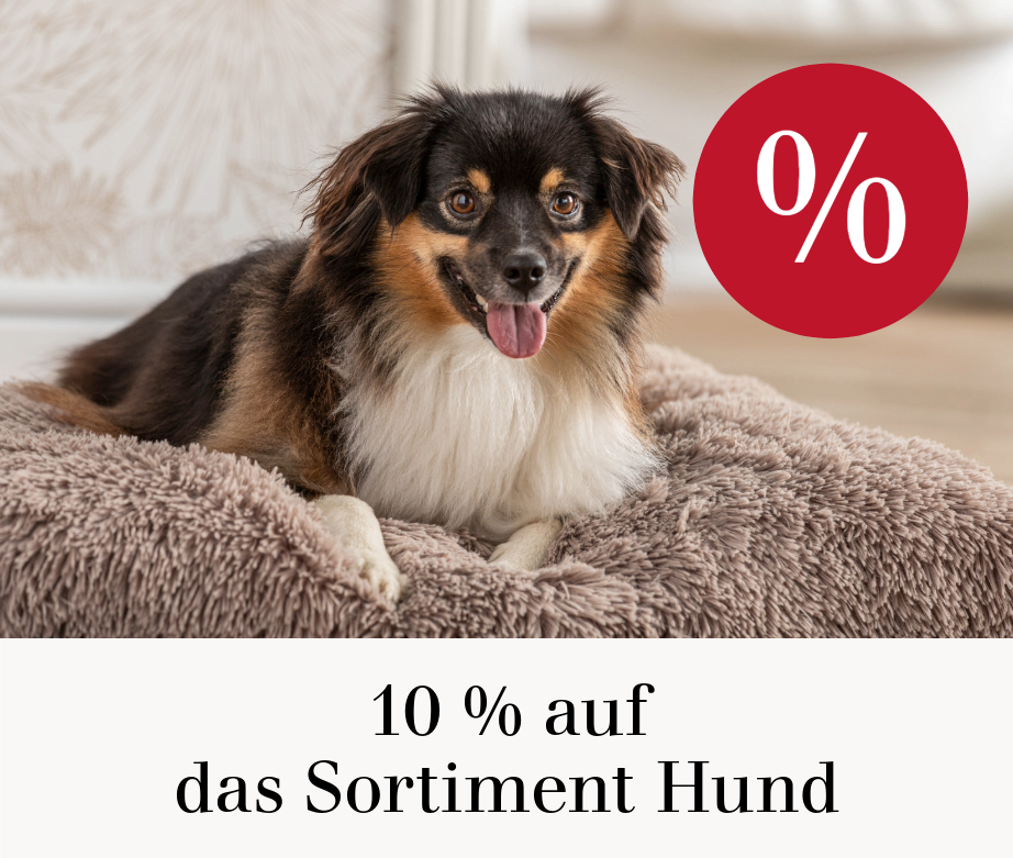 10 % auf das Sortiment Hund