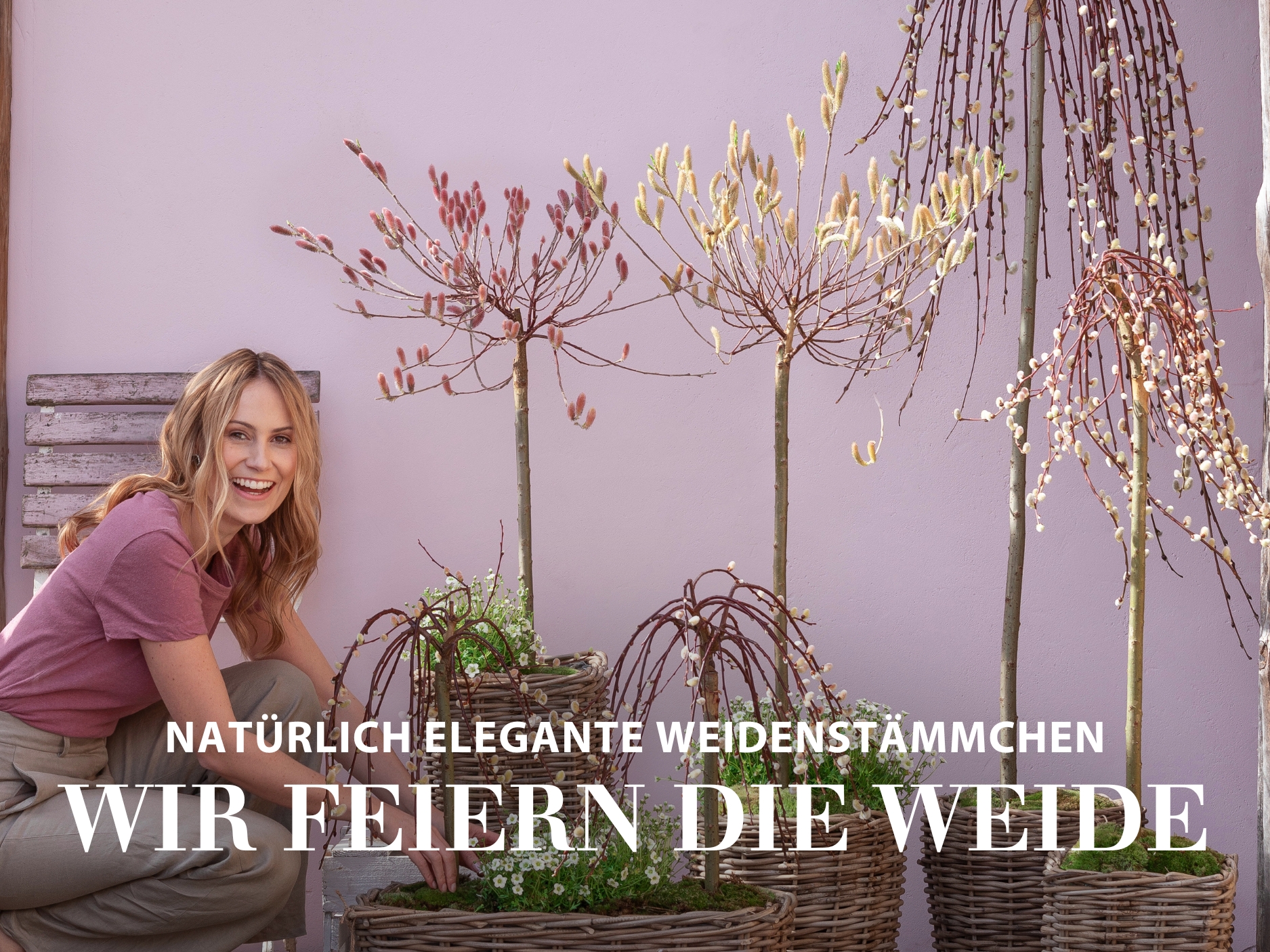 Natürlich elegante Weidenstämmchen