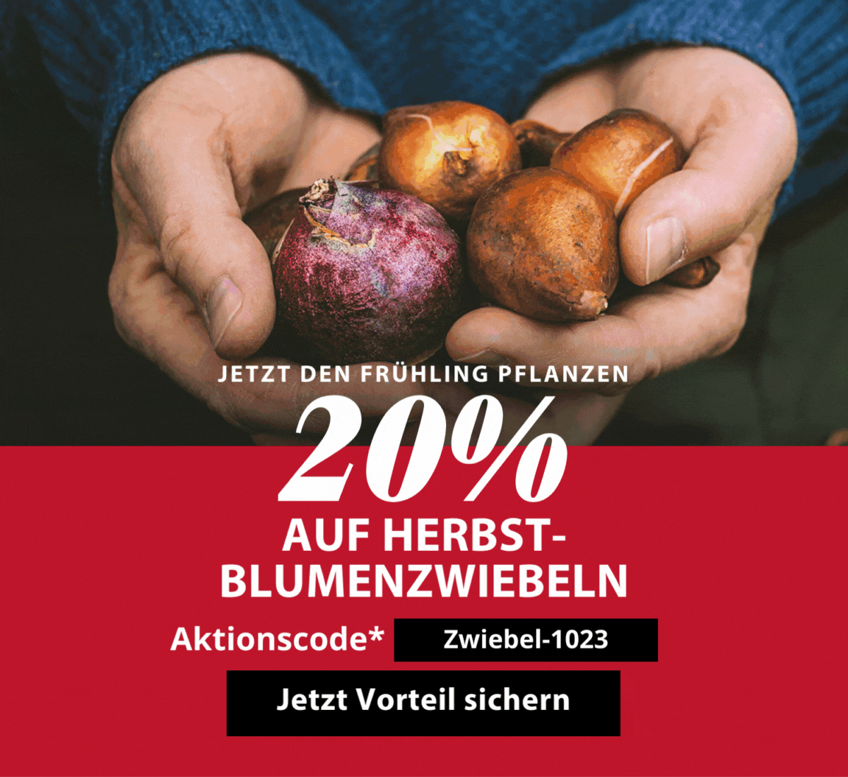20 % auf Blumenzwiebeln