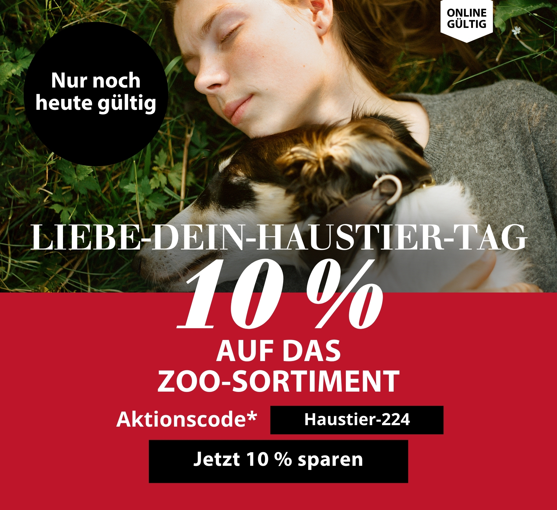 Nur noch heute: Aktion 10 % zum Liebe-Dein-Haustier-Tag