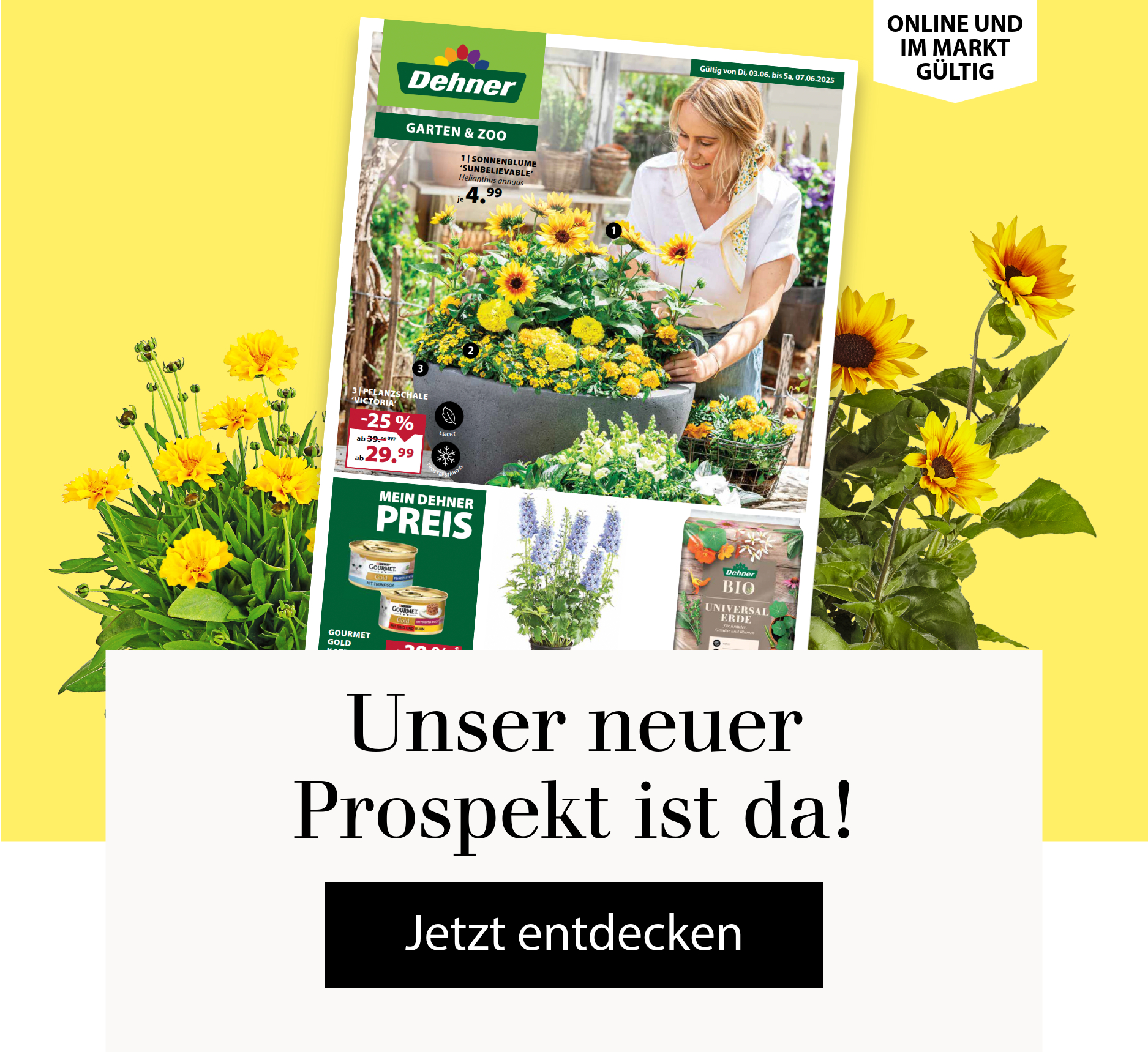 Unser neuer Prospekt ist da! Jetzt entdecken