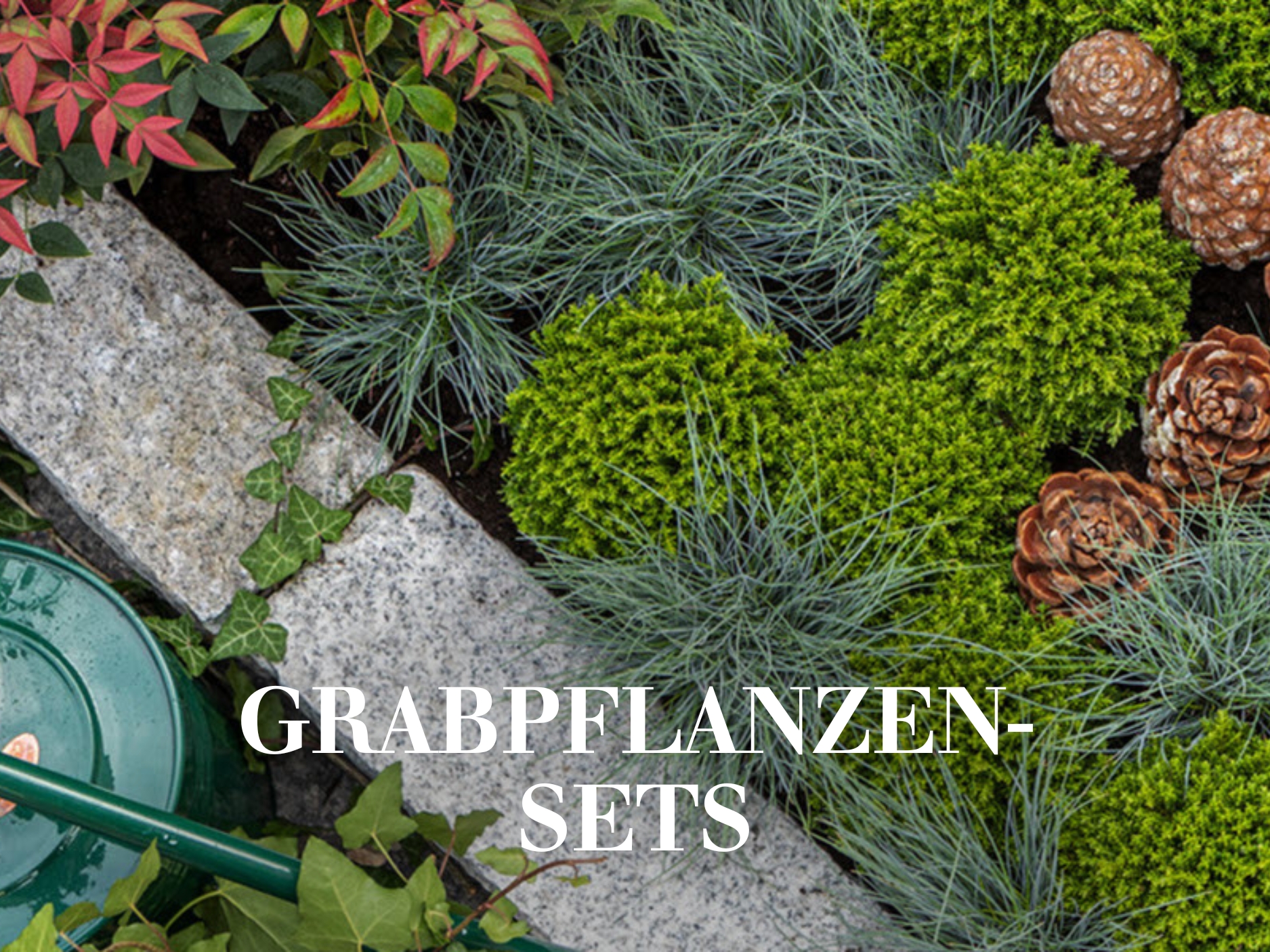 Grabpflanzen-Sets