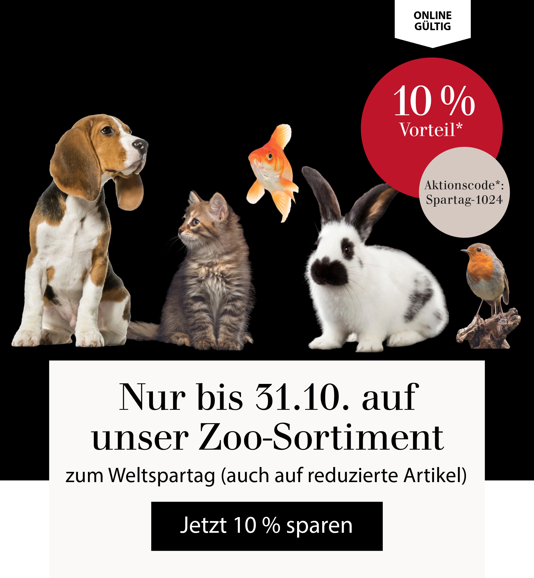 Zum Weltspartag:10 % Rabatt auf unser gesamtes Zoo-Sortiment