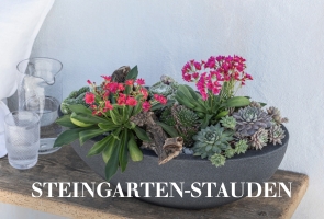 Steingartenstauden