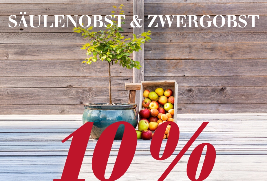 10 % auf Säulenobst & Zwergobst