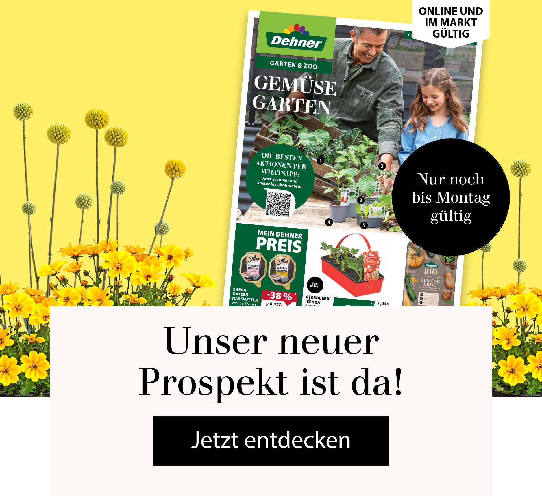 Nur noch bis Montag gültig: Unser neuer Prospekt 