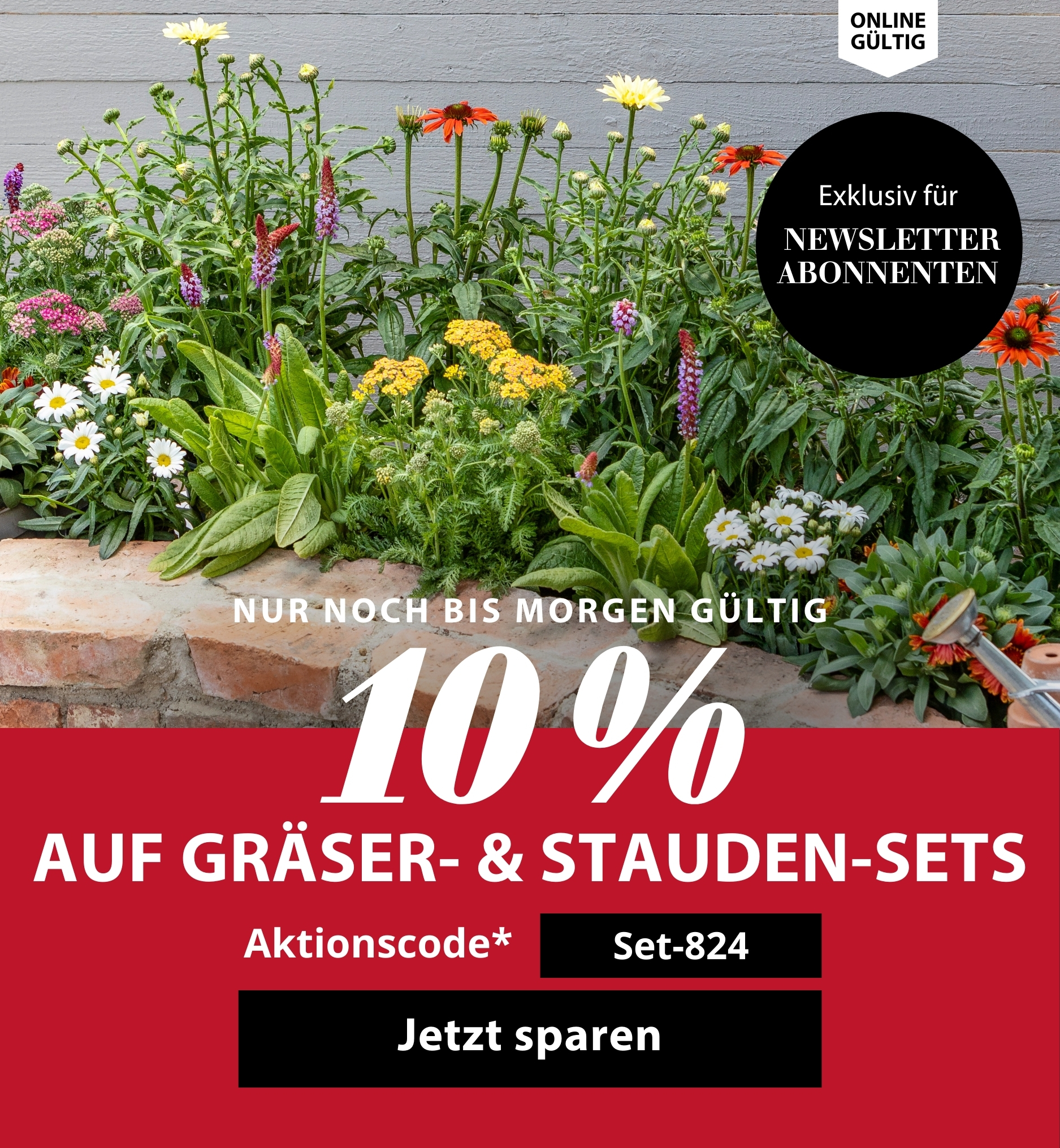 10 % auf alle Gräser- und Staudensets