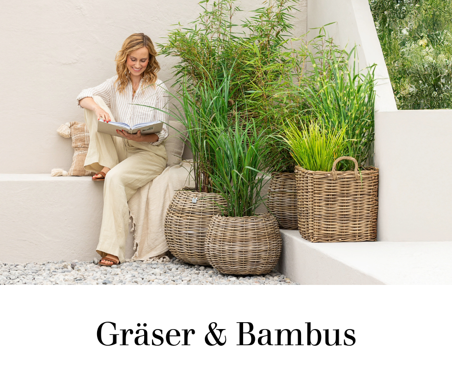 Gräser & Bambus