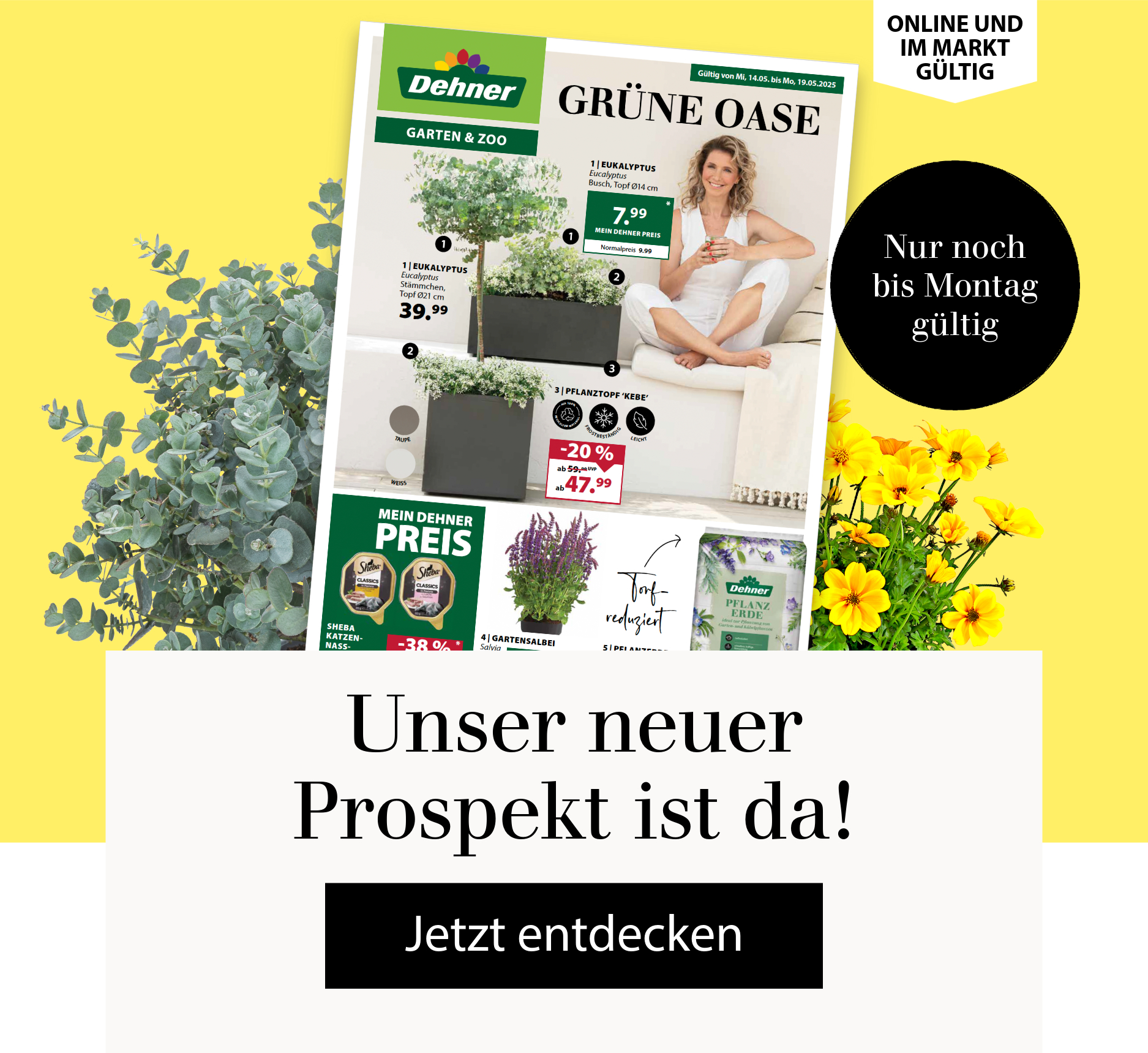 Unser neuer Prospekt ist da! Nur noch bis Montag gültig - jetzt entdecken!