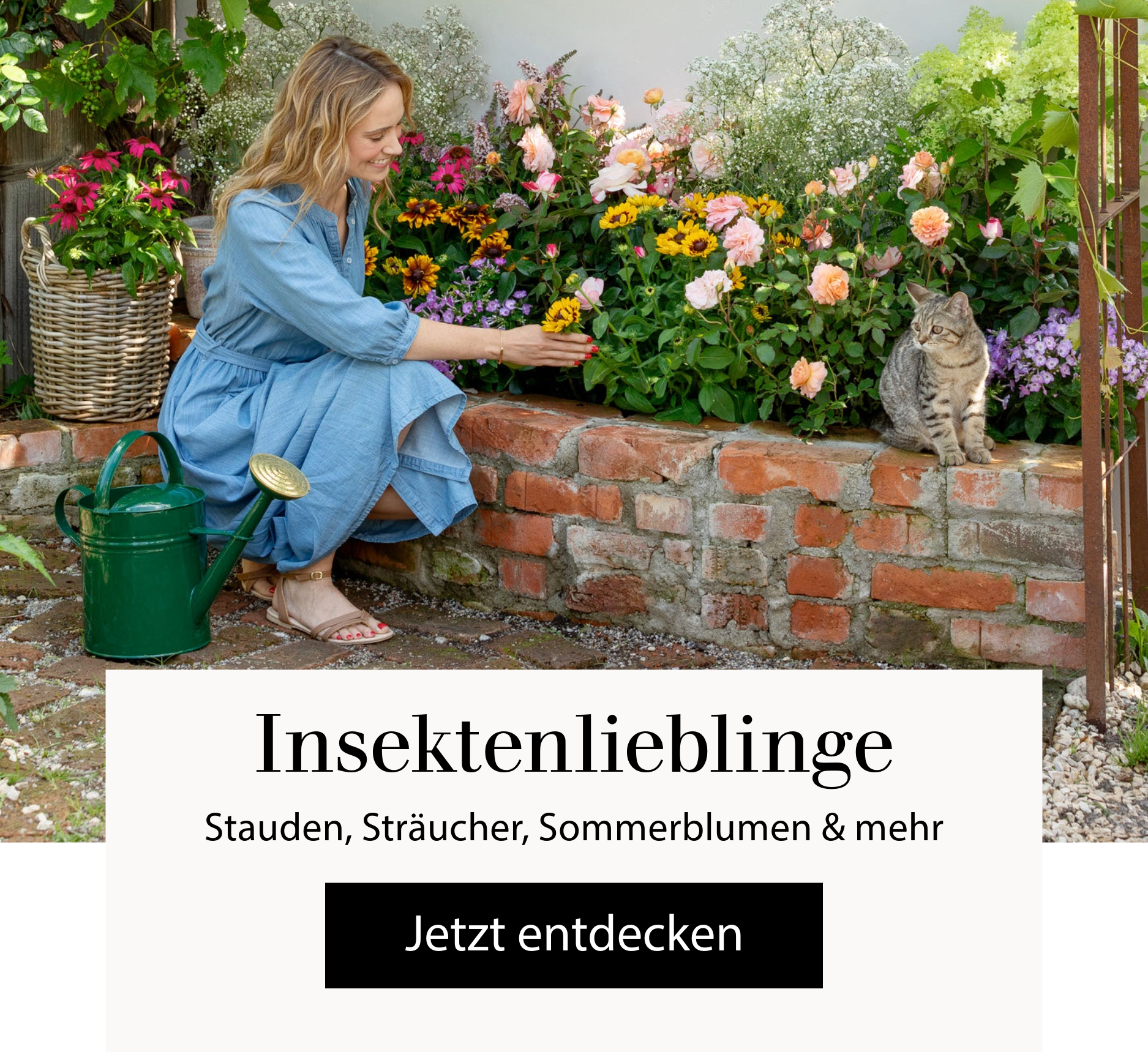 Insektenlieblinge - Stauden, Sträucher, Sommerblumen & mehr