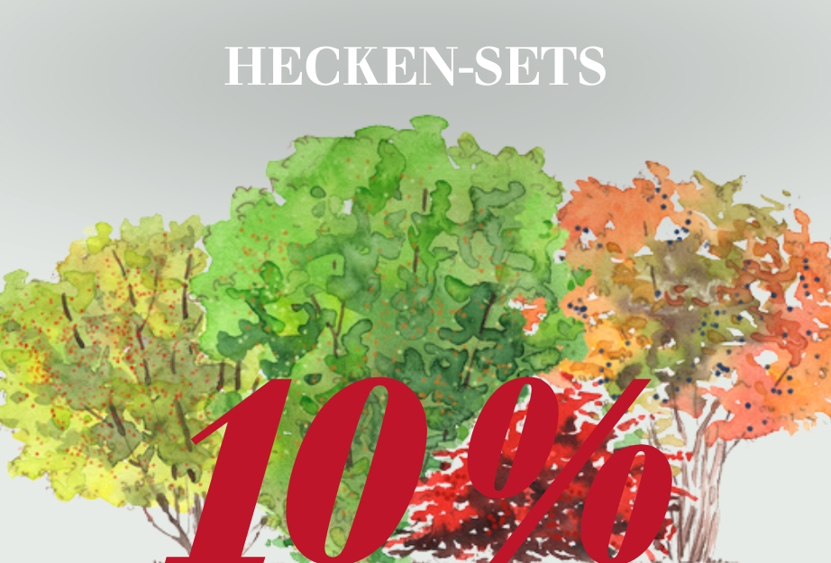 10 % auf Hecken-Sets