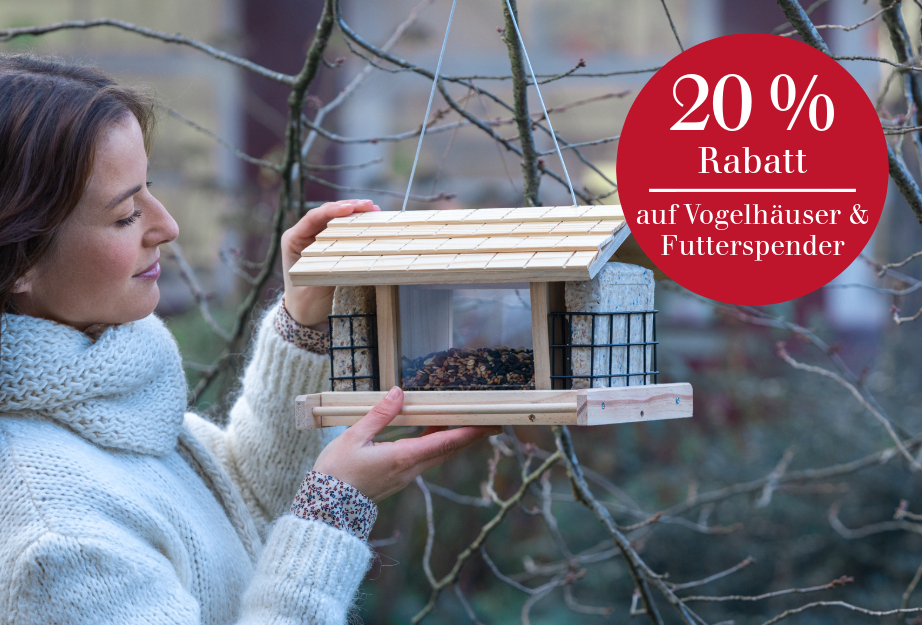 Unsere Top-Aktion