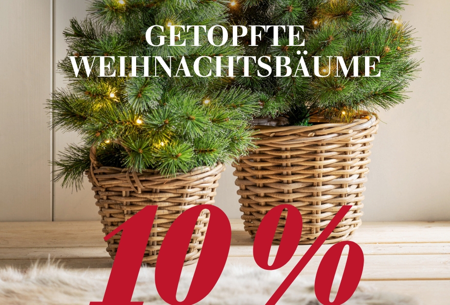 Weihnachtsbäume