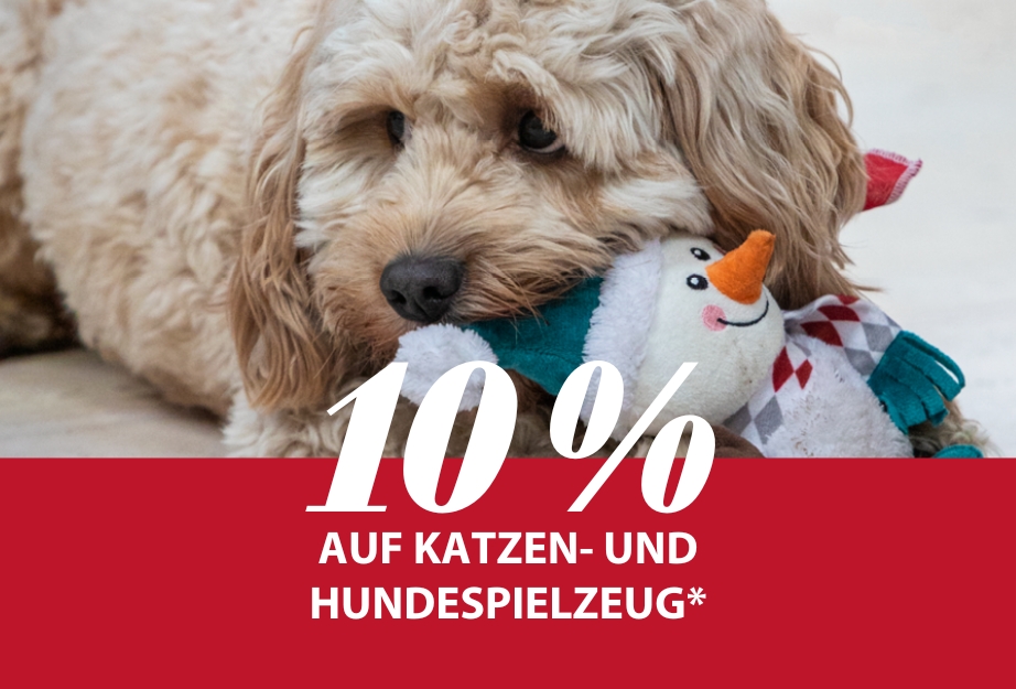 10 % auf Katzen & Hundespielzeug