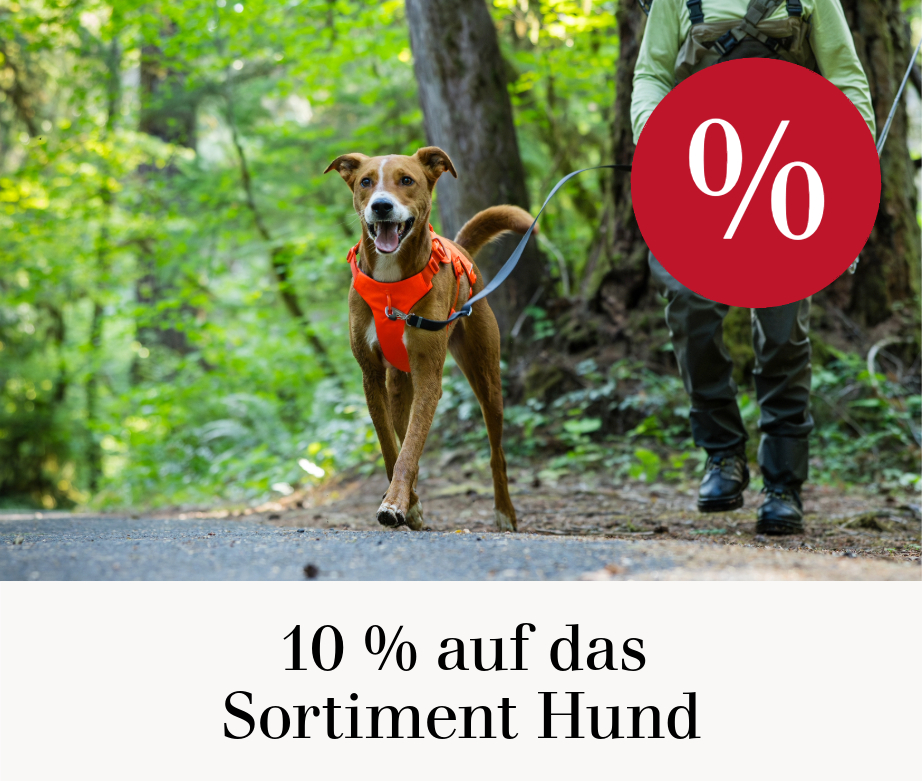 10 % auf das Sortiment Hund