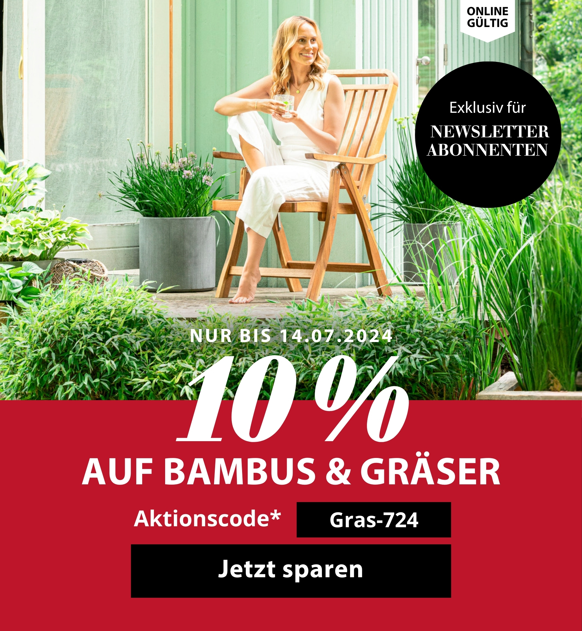 10 % auf Bambus & Gräser