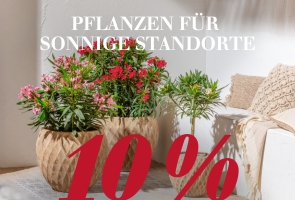 Pflanzen für sonnige Standorte