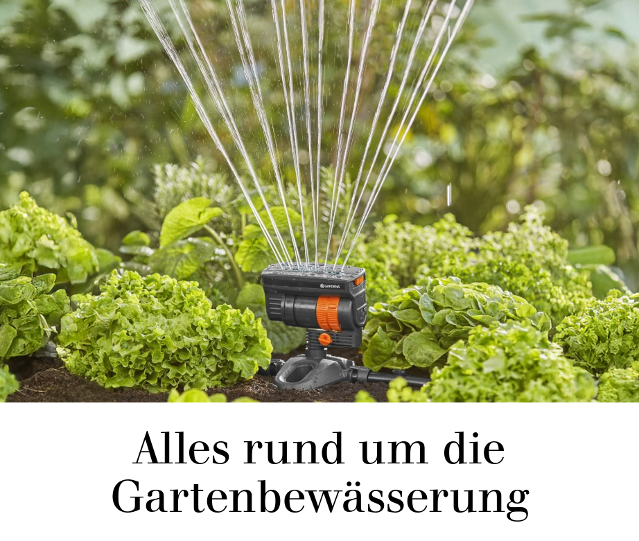Alles rund um die Gartenbewässerung