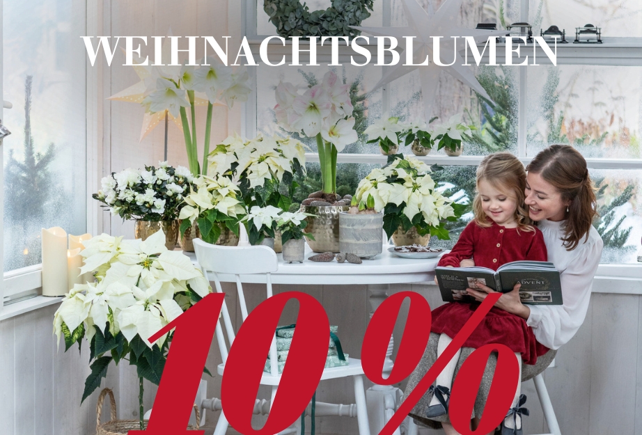 Weihnachtsblumen