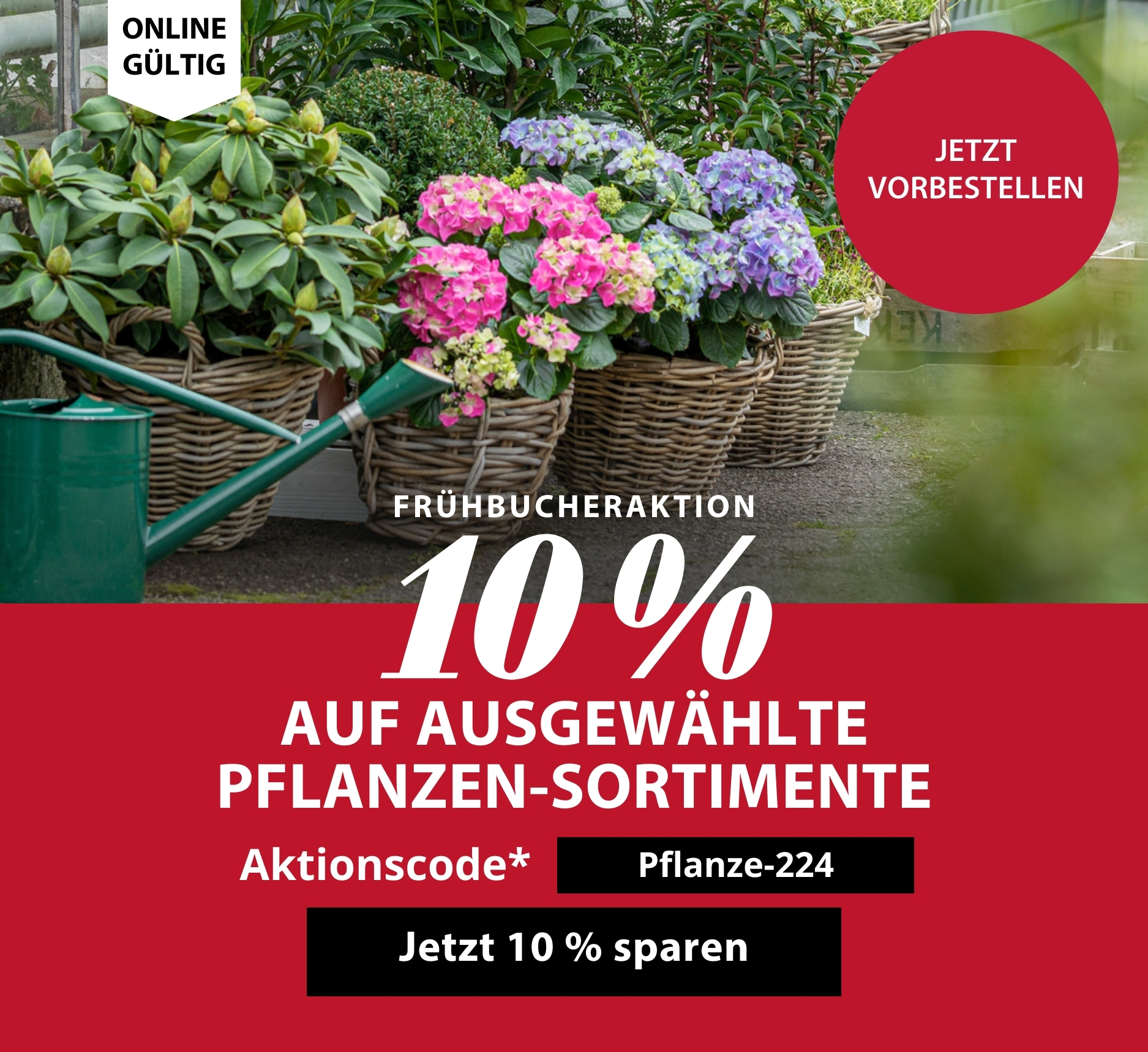 Online-Frühbucher-Aktion - 10 % auf ausgewählte Pflanzen-Sortimente
