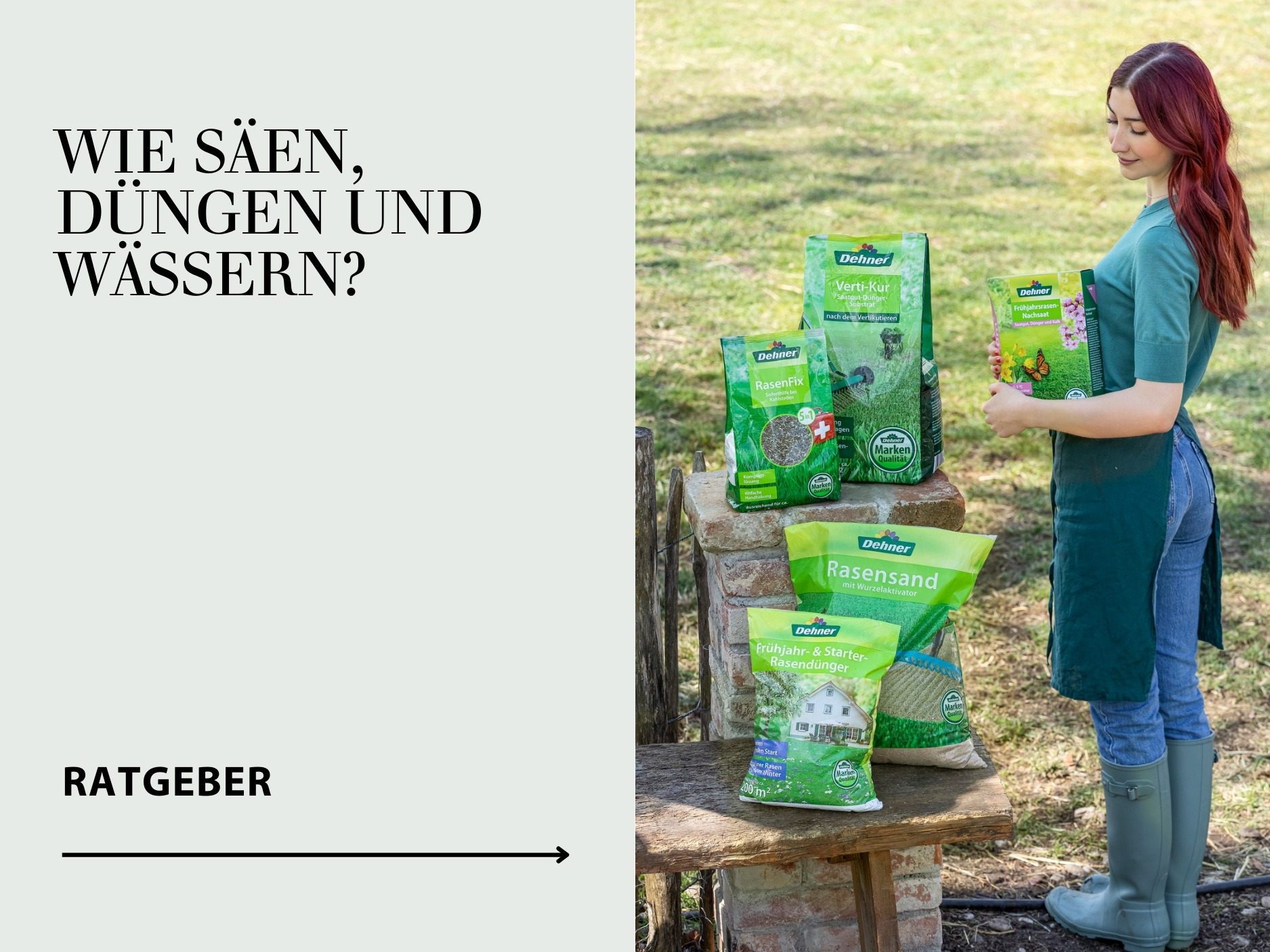 Alles rund um den Rasen und seine Pflege