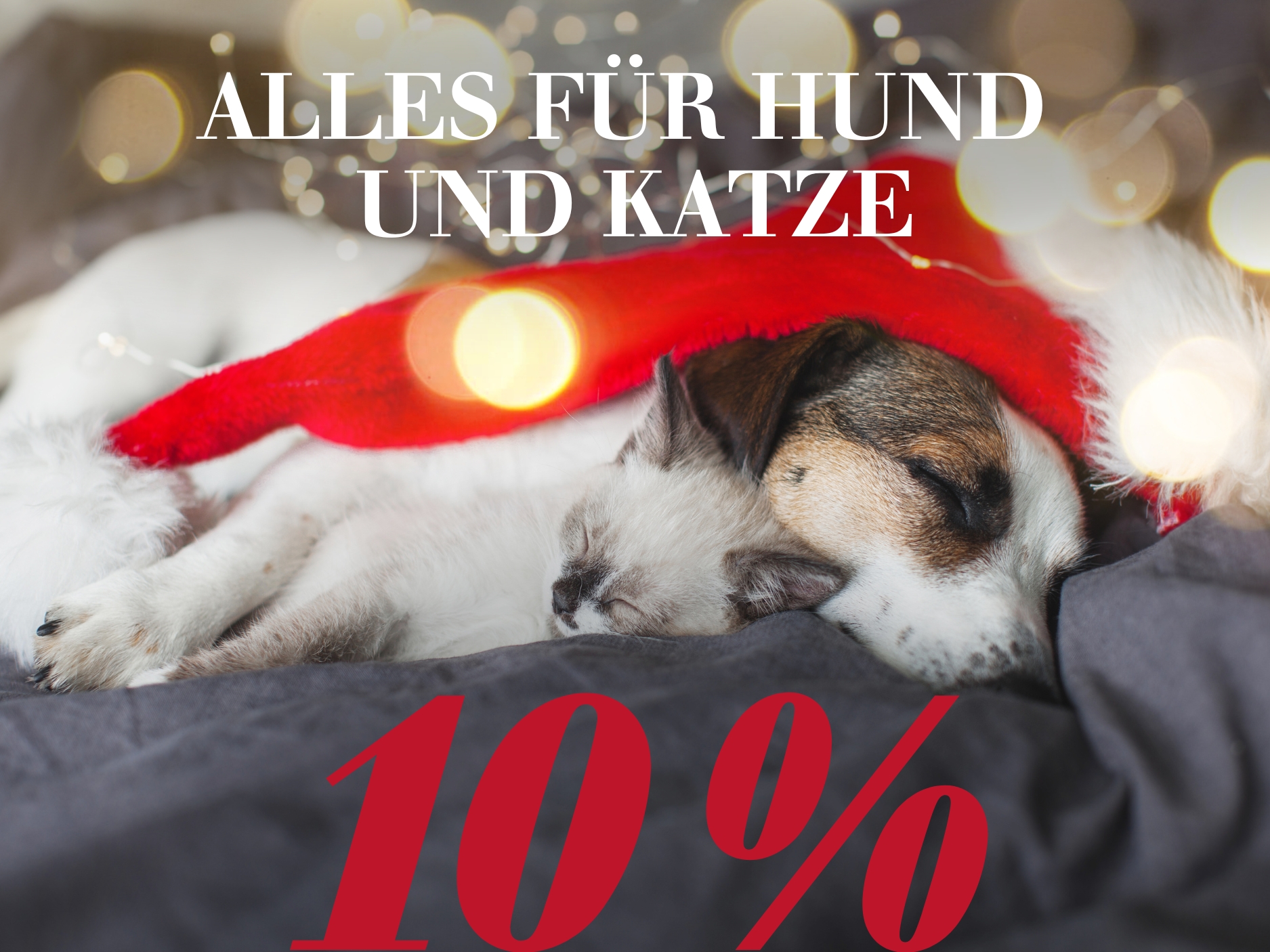 Alles für Hund & Katze