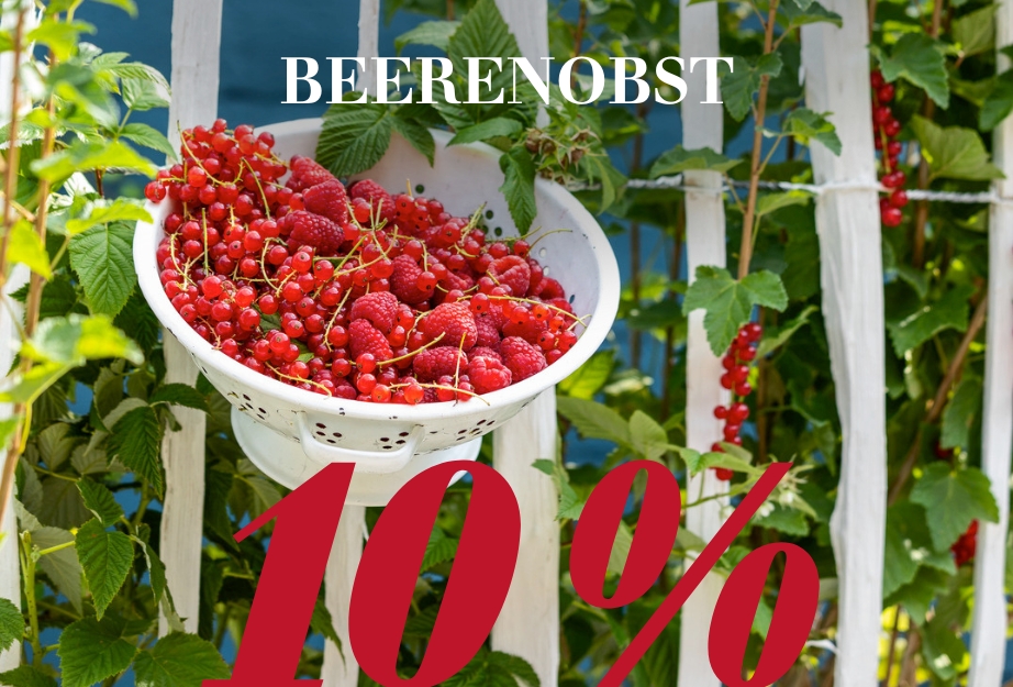Beerenobst