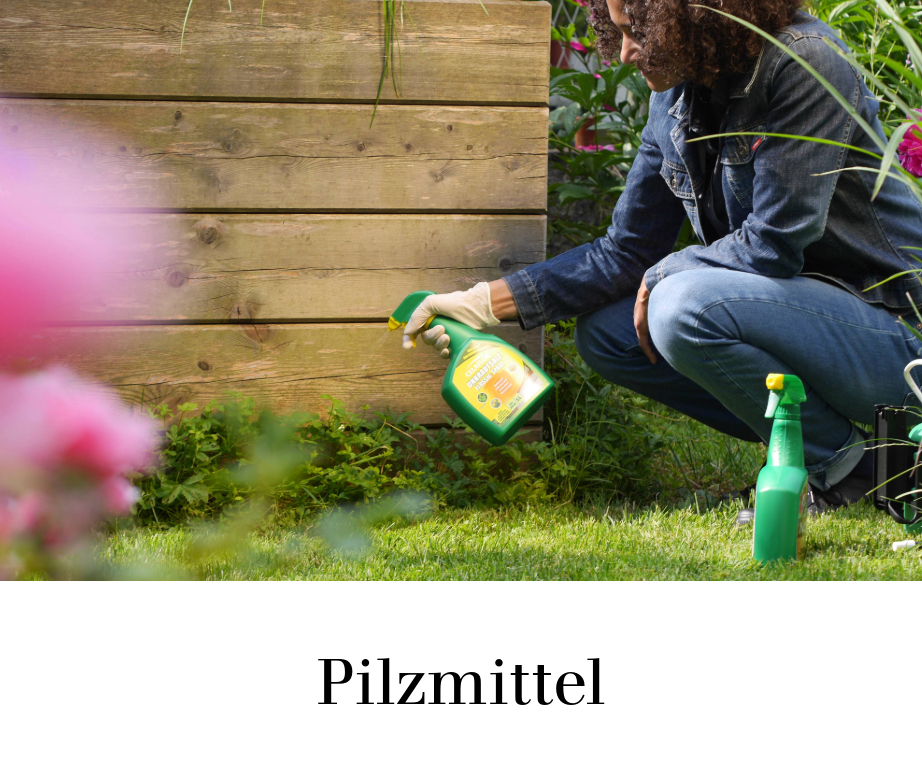 Pilzmittel