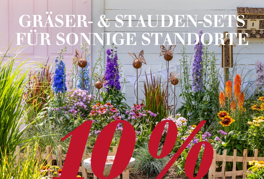Gräser- & Stauden-Sets für sonnige Standorte