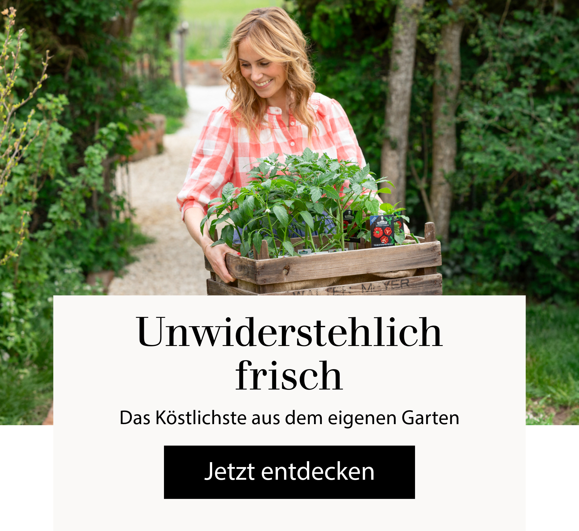 Unwiderstehlich frisch - Das Köstlichste aus dem eigenen Garten