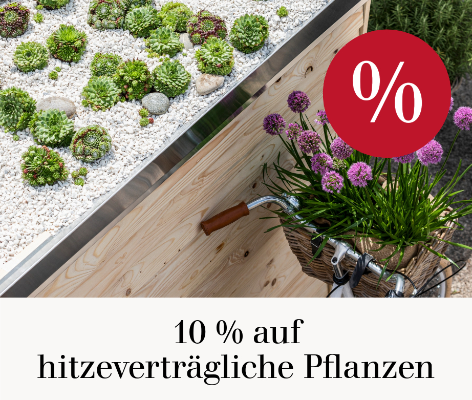 10 % auf hitzeverträgliche Pflanzen