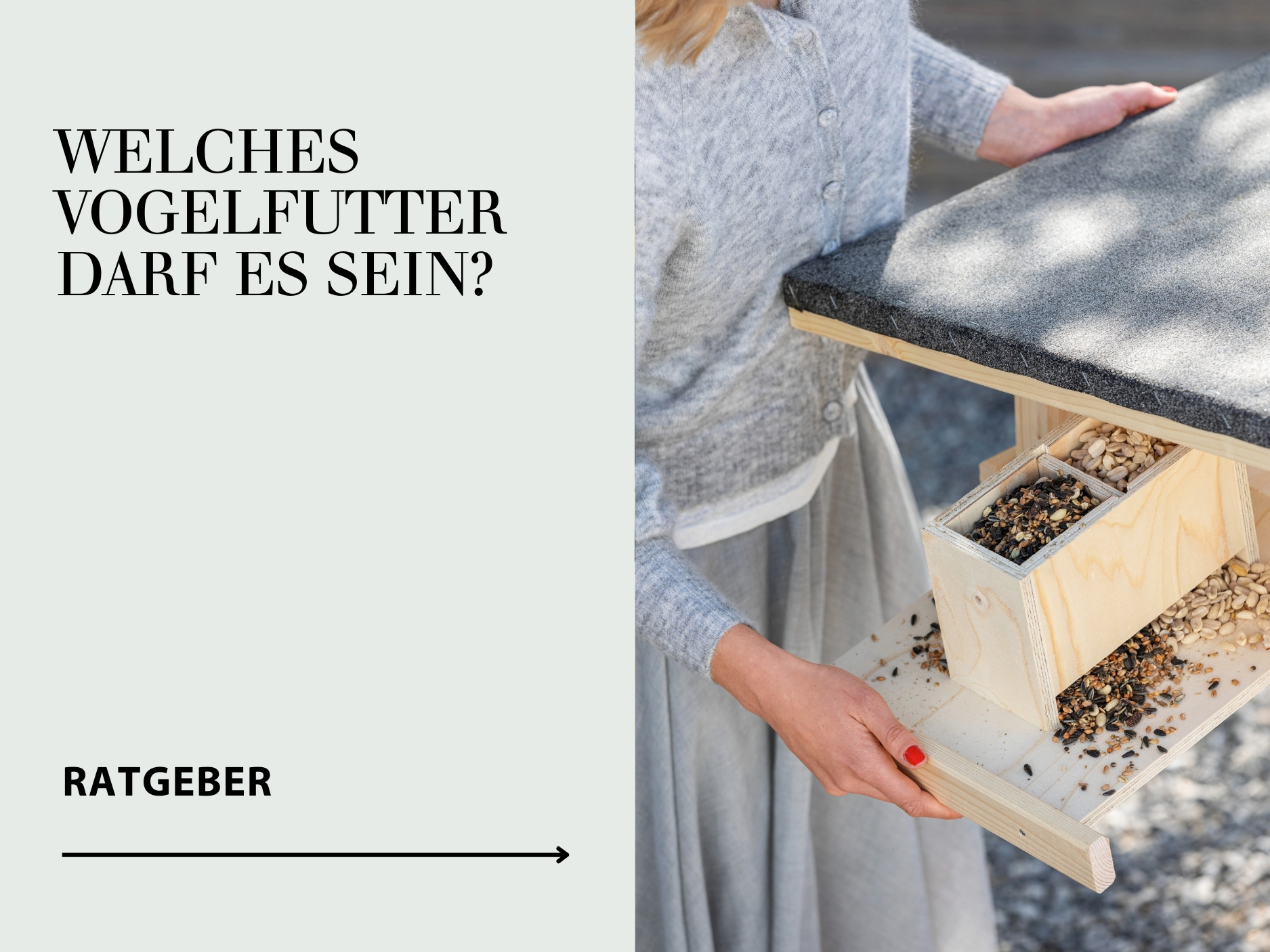 Ratgeber Wildvogelfütterung