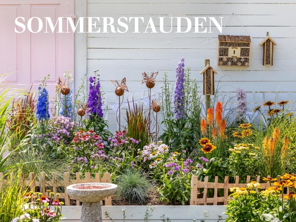 Sommerstauden